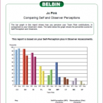 Individual BELBIN Team Role Profile (SPI)