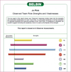 Individual BELBIN Team Role Profile (full 360)