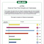 Individual BELBIN Team Role Profile (full 360)