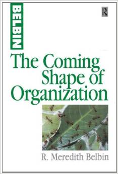 The Coming Shape of Organization