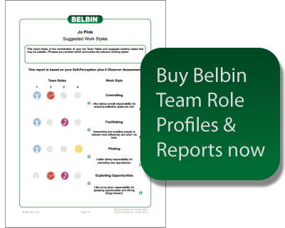 Belbin Team Role Profiles